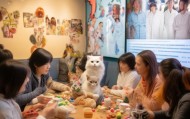 长沙猫咪信息咨询服务，为猫咪筑起健康守护的护城河