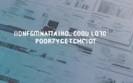 信息化咨询项目调研报告
