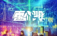 白城市启明信息咨询服务有限公司，助力企业数字化转型的贴心服务