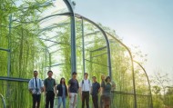 南京智慧农业与竹子信息技术咨询，赋能绿色未来