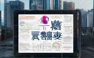 东鸿信息咨询服务助力鸡东经济发展，一份详尽的分析