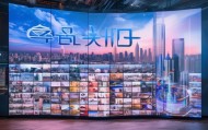 佳佰信息咨询服务，成功案例与未来展望