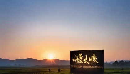 隆尧县周张村信息技术咨询部助力农业现代化开启数字化时代新篇章