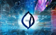 重庆学成信息技术咨询有限公司，数字时代的智慧解决方案