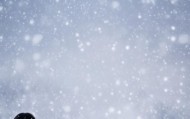 静待寒冬，静待雪后—倩姐信息咨询服务