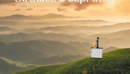 茶山信息咨询服务，开启新机遇的策略者