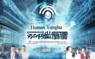 助力数字化转型，湖南洋律信息技术咨询有限公司提供创新力量