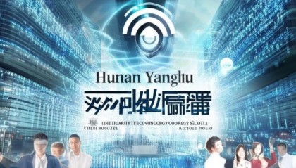 助力数字化转型，湖南洋律信息技术咨询有限公司提供创新力量