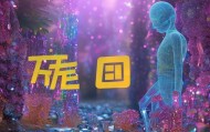 晶森信息技术咨询服务，赋能未来，开启职业发展新篇章
