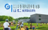 南阳市雨荨信息咨询服务有限公司，助力农业现代化，助力农民增收致富