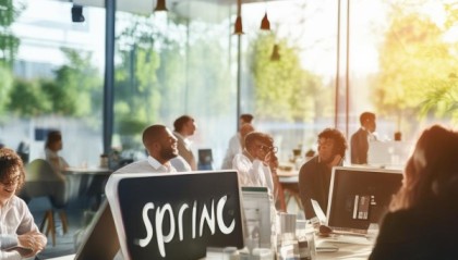 Spring丽信息咨询服务，服务质量如何？