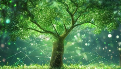 绿橄榄，数字时代的绿色智慧