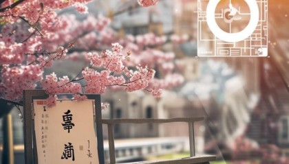 诗诗信息咨询服务，助力精准市场定位