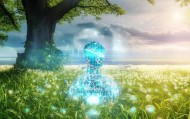林帆信息咨询服务，赋能未来，助力成功