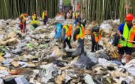 赞竹信息技术咨询垃圾，一场精心策划的垃圾清理行动
