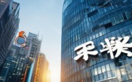 岑宏信息技术咨询服务有限公司，中国市场的专业信赖与创新突破