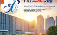 深圳市乐喜信息技术咨询有限公司，助力深圳经济高质量发展