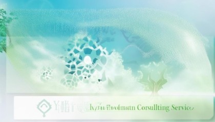 祥云信息咨询服务，助力企业健康发展的智慧之选
