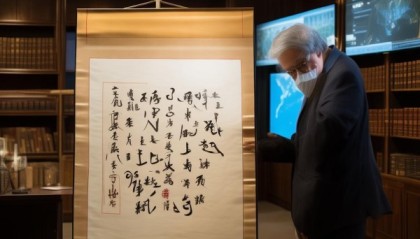 宁阳县志皓信息咨询服务，专业解决方案，助力发展。