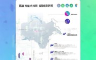 223武汉迈力拓信息咨询服务发展报告