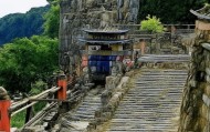 安徽阜南县信息咨询服务，助力乡村振兴