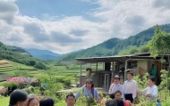 信息咨询服务助力乡村振兴新引擎