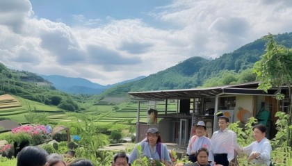 信息咨询服务助力乡村振兴新引擎