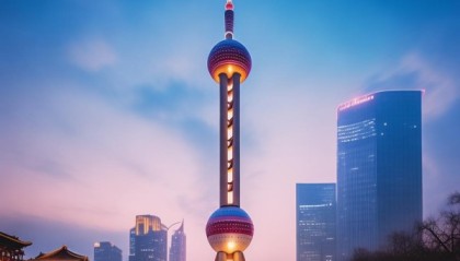 东方明珠下的智慧之光—南京普顺信息咨询服务部