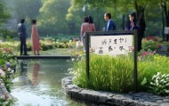 春雨信息技术咨询服务