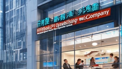 会东县信息咨询服务公司助力社会发展，专业解决方案助力未来