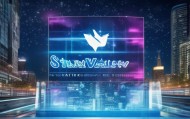 星谷信息咨询服务，创新驱动未来