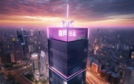 泰签信息咨询服务，选择性竞争中的制高点