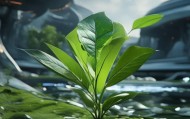 抚利叶，技术与未来的对话，觞叶信息技术咨询的创新之路