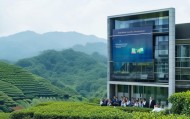 茶山企业信息化财务咨询，专业服务助力企业发展！