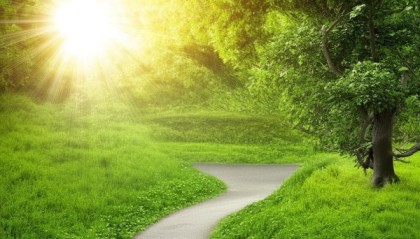 智慧之光，蹊径高远植根于知绽放生命的智慧之光