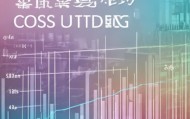 泰州市信息化技术咨询费用解析，价格趋势分析