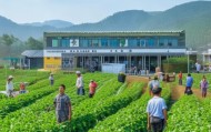 助力乡村振兴，助力农业发展