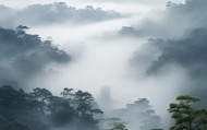 道士，智慧之光，赋能未来