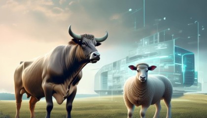 牛羊状元信息咨询服务领域创新与未来
