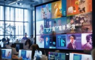 南康鸿旺，信息技术咨询招聘机会