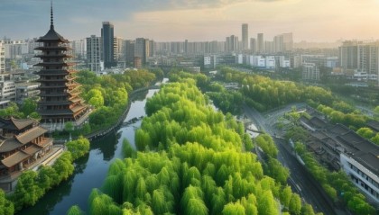 南京，竹子时代，绿色新起点