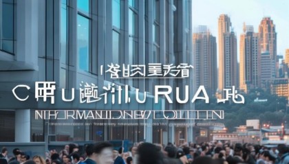 重庆睿华信息技术咨询