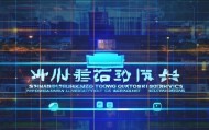 山东权银通信息咨询服务，专业、本地化、定制化的未来