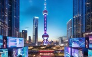 东方明珠下的智慧经济，浦东信息咨询服务的创新与发展
