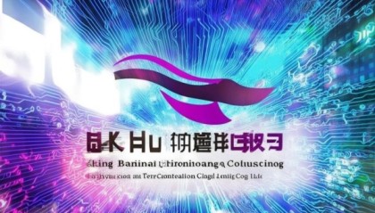 重庆笨鸟信息技术咨询有限公司数字转型的先锋力量
