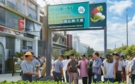 海南小玉米，信息咨询服务助力精准农业