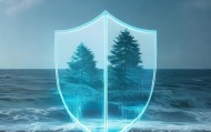 海林信息咨询服务，守护数据安全与业务连续，助力数字化转型