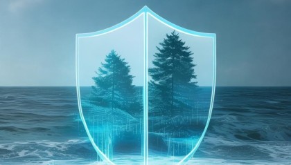 海林信息咨询服务，守护数据安全与业务连续，助力数字化转型