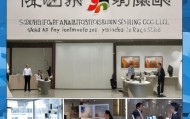 智慧信息咨询服务有限公司，精准法律与数据分析的现代解决方案