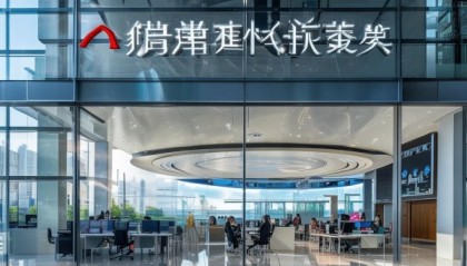 大连宏远优信息技术咨询公司